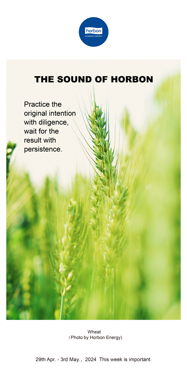 【和之声】用勤恳践行初心，用对峙期待了局。（总第132期）2024.4.29-5英文改幼季度推送用.jpg