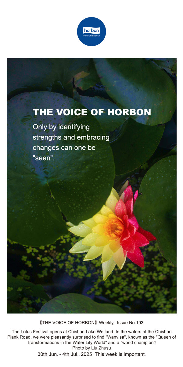 【和之声】找准优势、拥抱变动，能力“被看见”。(总第193期）--2025.6英文导出季度推送用.jpg