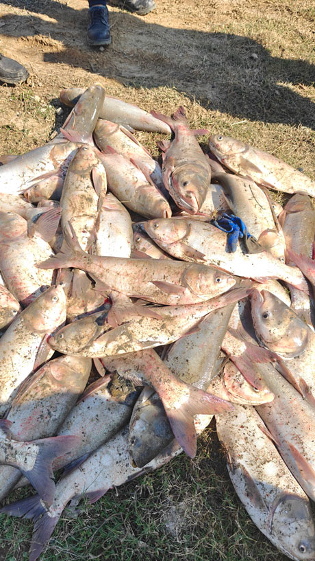 2024.11.23-【和之杏卓总要来场“冬捕”吧。ㄓ籽┕瞧惫び闾痢岸丁蓖沤ɑ疃┬挛排渫几挠淄011.jpg