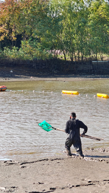 2024.11.23-【和之杏卓总要来场“冬捕”吧。ㄓ籽┕瞧惫び闾痢岸丁蓖沤ɑ疃┬挛排渫几挠淄006.jpg